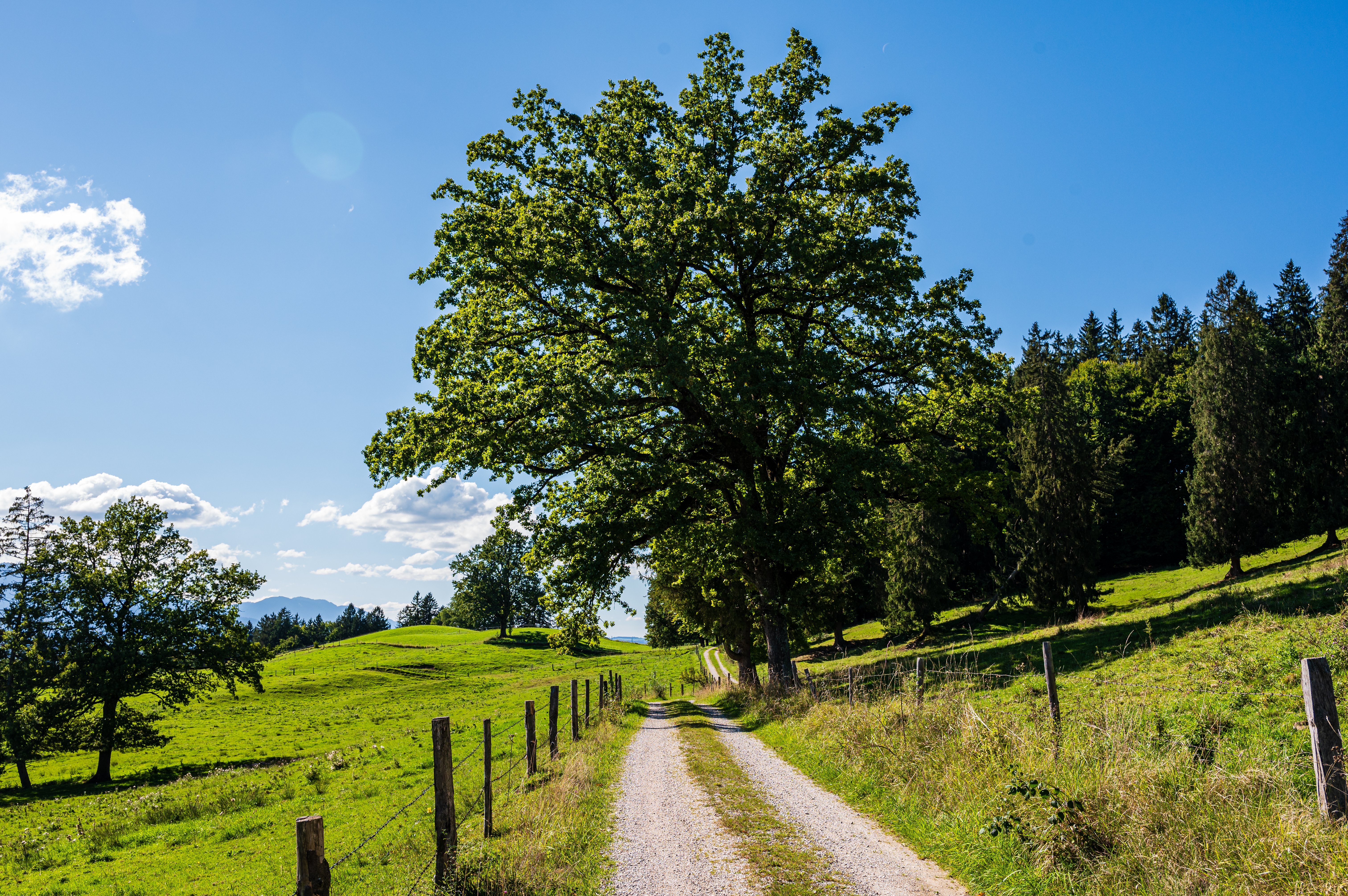 Wanderung Aidlinger Höhe